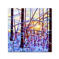 Trademark Fine Art Mandy Budan 'Sunrise' Canvas Art, 35x35 ALI0936-C3535GG